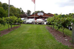 Shown: Several rows of grapes located in front of the Conneaut Lake Winery Store and production facility.