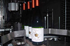 Conneaut Cellars Winery’s Reisling is shown being bottled at our facility in Conneaut Lake, PA.
