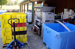 Shown: Grapes delivered for production at Conneaut Cellars Winery production building.